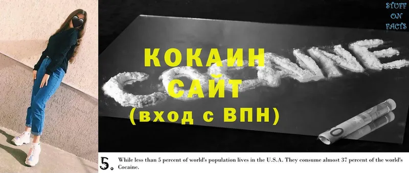 Cocaine Columbia  мега ссылка  Камешково  даркнет сайт 